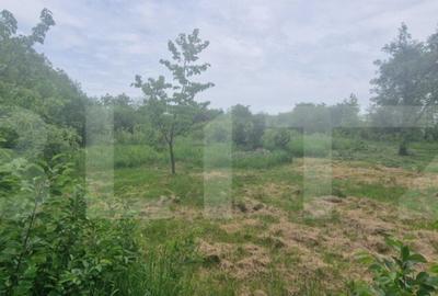 Teren intravilan, 4230 mp, Baicoi - 6