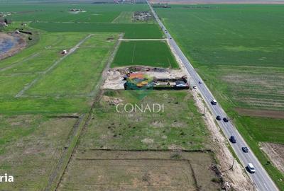Spațiu comercial, în Pasărea - 7