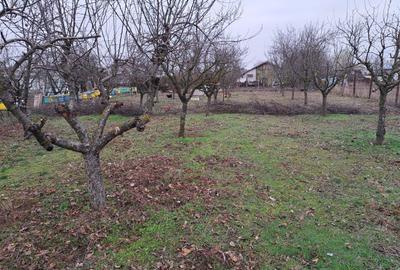 Spațiu comercial, în Siliștea - 3