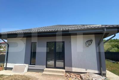 Casa plan parter in Visan - toate utilitatile, pozitionare excelenta