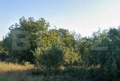 Teren 3994 mp, zona metropolitana Simnicul de Sus - 1