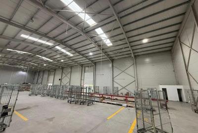 Spațiu comercial, de 2,350 mp, în Mogoșoaia - 1