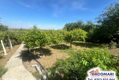 Casă cu 2 camere cu Teren 1498 Mp în Smârdan - 9