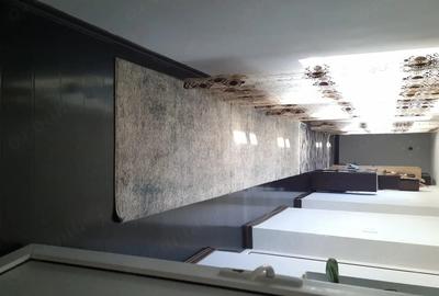 Casă cu Teren 4000 Mp în Central - 3