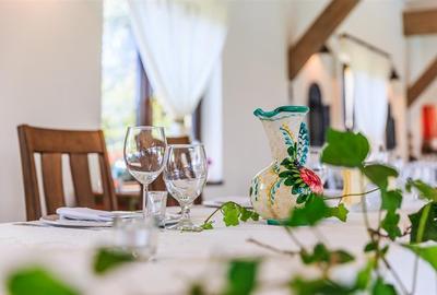 Hotel Bielmann,unicitate si profitabilitate optima in turism,Sanpetru, Brasov - 21