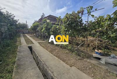 Casă individuală cu 3 camere cu Canalizare în Gura Arieșului - 9