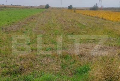 Teren de 2600 mp, în Rădăuți - 3