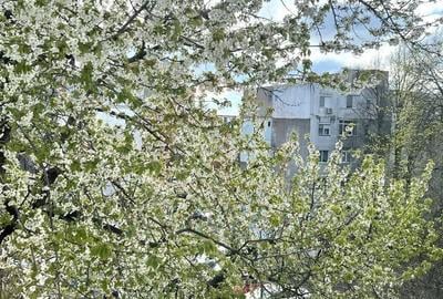 Apartament cu 2 camere semidecomandat în Sârbi