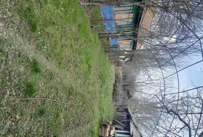 Teren de 5000 mp, în Albeni - 2
