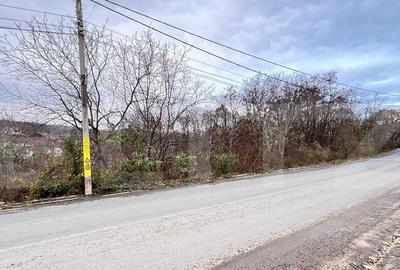 Teren, 1200mp, strada principala Barnova - 6