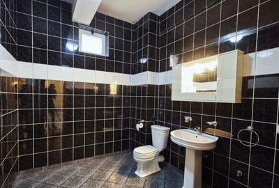 Eroii revolutiei vila 1100 mp S+P+E1+E2+M + curte 14 camere - 12