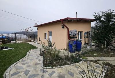 Casă cu 2 camere în Podgoria - 14