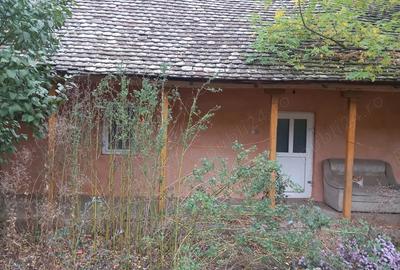 Vand casa sat Ivanda comuna Giulvaz Proprietar - 9