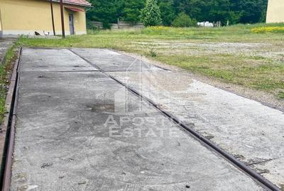 Spatii productie si depozitare, zona Sebis - Prunisor-Carand - 16