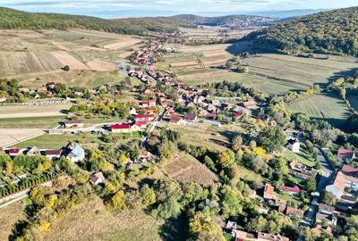 Teren Intravilan - 11