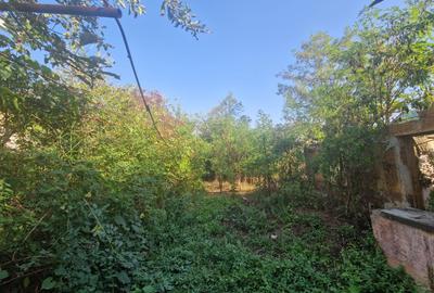 Cornetu stradal, vanzare teren intravilan 1.600mp Cornetu stradal, vanzare teren intravilan 1.600mp - 5