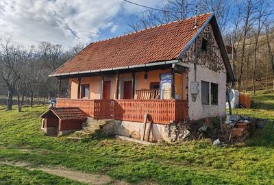 Casă cu 2 camere cu Teren 3600 Mp în Bejan - 10