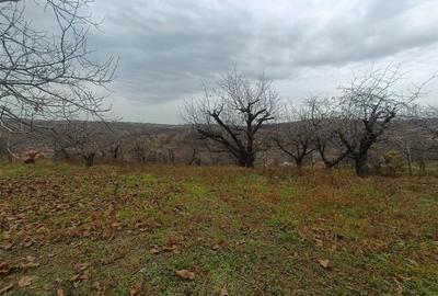 RECO Teren  in Oradea - 1