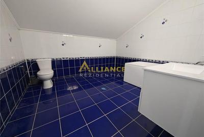 Casă individuală cu 9 camere cu Teren 450 Mp în Berceni - 10