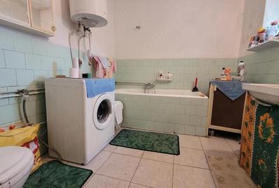 Casă cu 3 camere cu Teren 1434 Mp în Satchinez