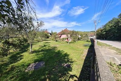 Oportunitate afacere pensiune, casa mare in aproprierea Castelului Corvinilor, Hunedoara - 8