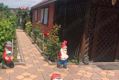 Casă cu Teren 2750 Mp în Vulpeni - 5