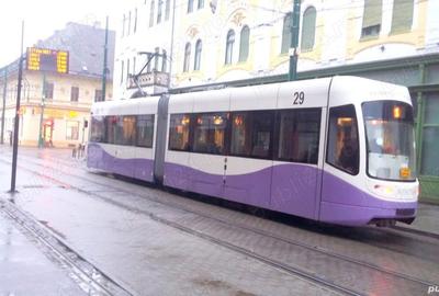 Casă cu 6 camere în Traian - 14