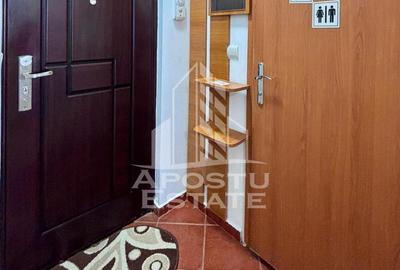 Apartament cu 2 camere în Șega - 10