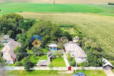 TEREN intravilan 9.126 mp - comuna STEFAN cel MARE - 2