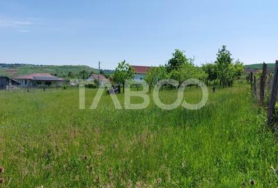 Casa individuala 5 camere cu teren 2000 mp Sura Mare Hamba Sibiu - 12