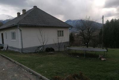 Casă cu 3 camere în Moisei - 7