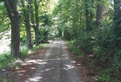 Teren extravilan  de vanzare | 4288 mp | in Gusterita - 7