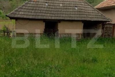 Casă cu 3 camere în Ruginoasa - 5