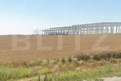 Teren Construcții intravilan de 10434 mp, în Cârcea - 1