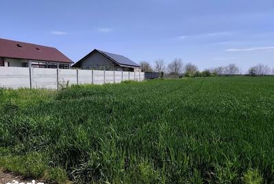 Teren de 2500 mp, în Central - 3