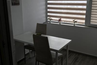 Garsoniera pat de mijloc Parc IOR 10 min M Grigorescu DB1248 - 7