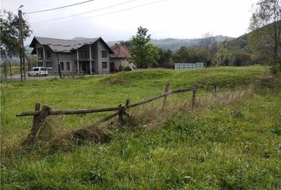 Teren de 4240 mp, în Lupșa - 5