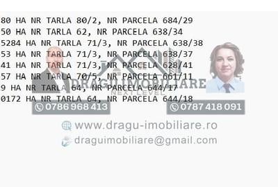 Teren agricol Munteni/Galati / 7.5 ha - 3