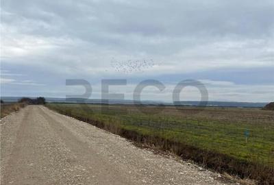 Teren de 550 mp, în Oșorhei