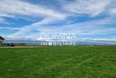 Teren de 25254 mp, în Preajba - 3