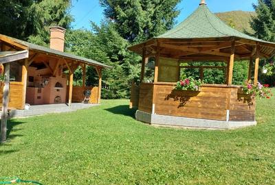 Proprietate exclusivistă pe malul râului – Frăsinet, Băișoara, jud. Cluj - 7