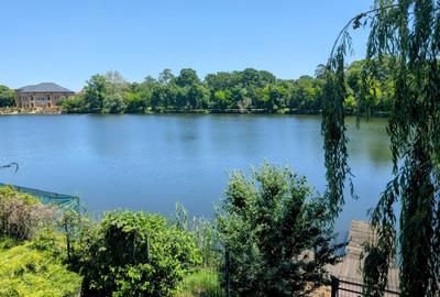 Mogosoaia,vila robusta cu vedere spectaculoasa catre lac,palat,parc,1750mp teren - 1