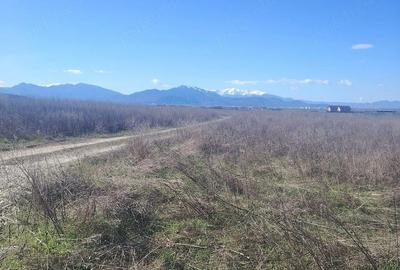 Teren de 600 mp, în Bod