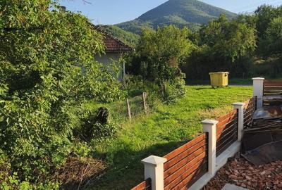 Casă cu 2 camere în Baia de Criș - 5