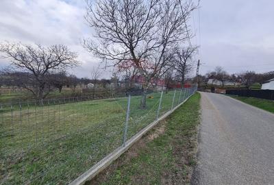 Teren Construcții intravilan de 1600 mp, în Hăulișca
