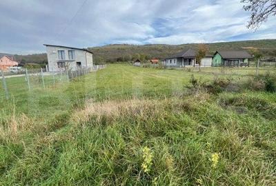 Teren de 2400 mp, în Cetate - 5