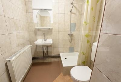 Spatiu comercial de vanzare,Cetate,vad excelent - 5