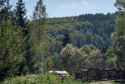 Vand casa+cabana Vand casa+cabana - 3