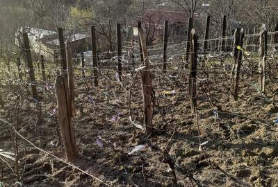 Casă cu 2 camere în Făget - 8