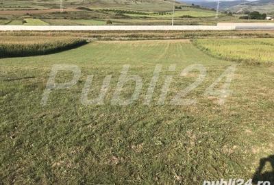Teren de 5500 mp, în Stejeriș - 2